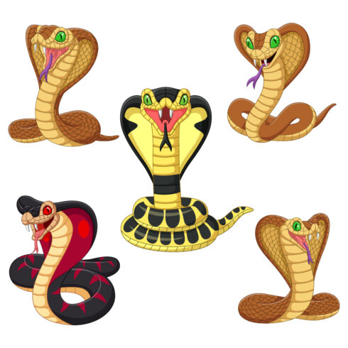 5 Cartoon Cobra Character cover image.