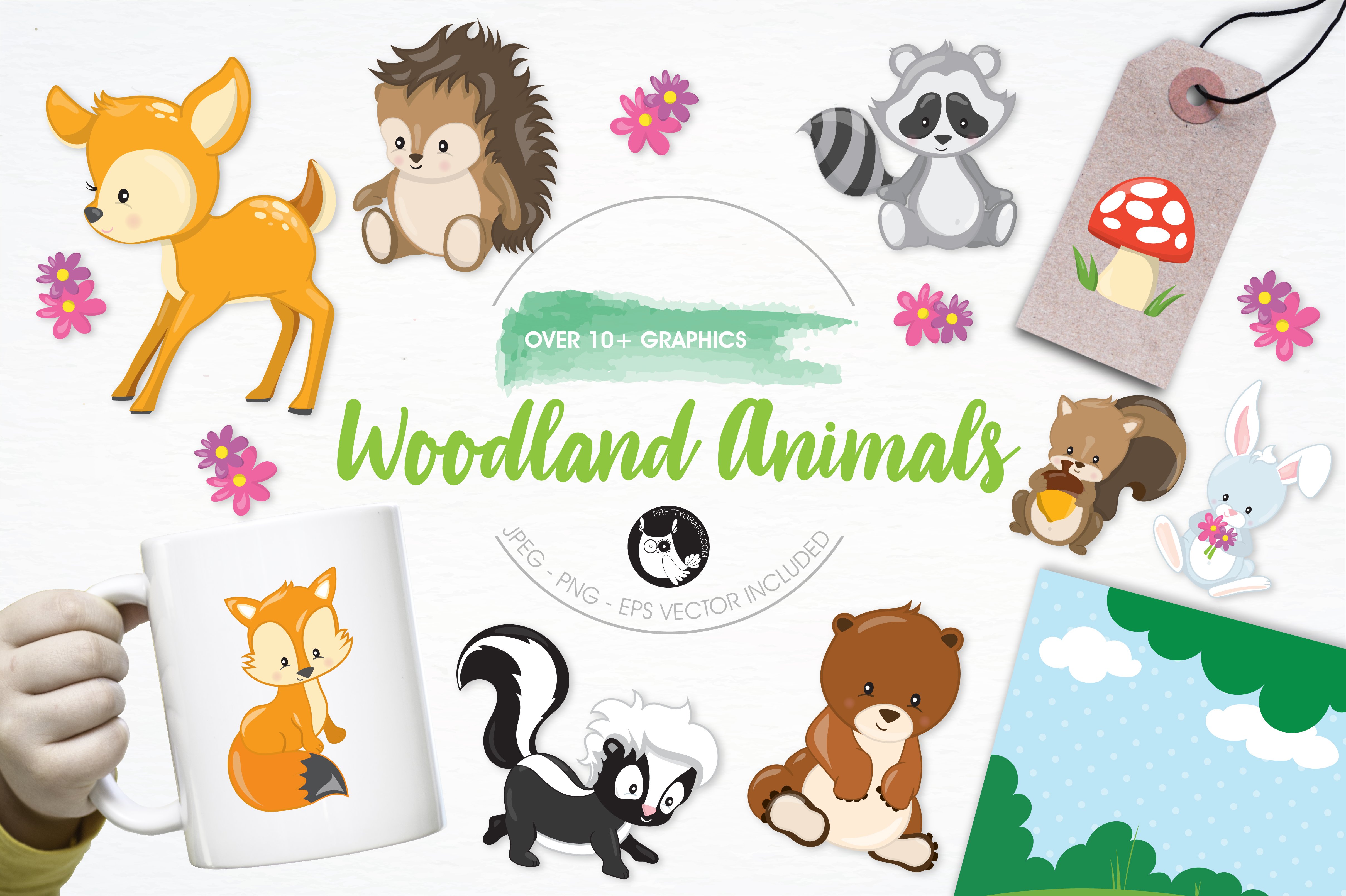 Woodland animals illustration pack cover image.