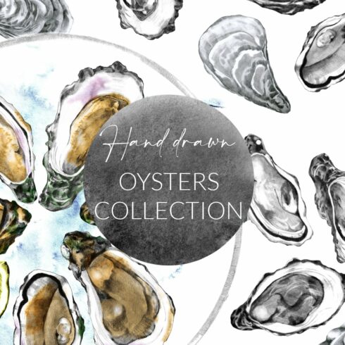 Hand Drawn Oysters Collection cover image.