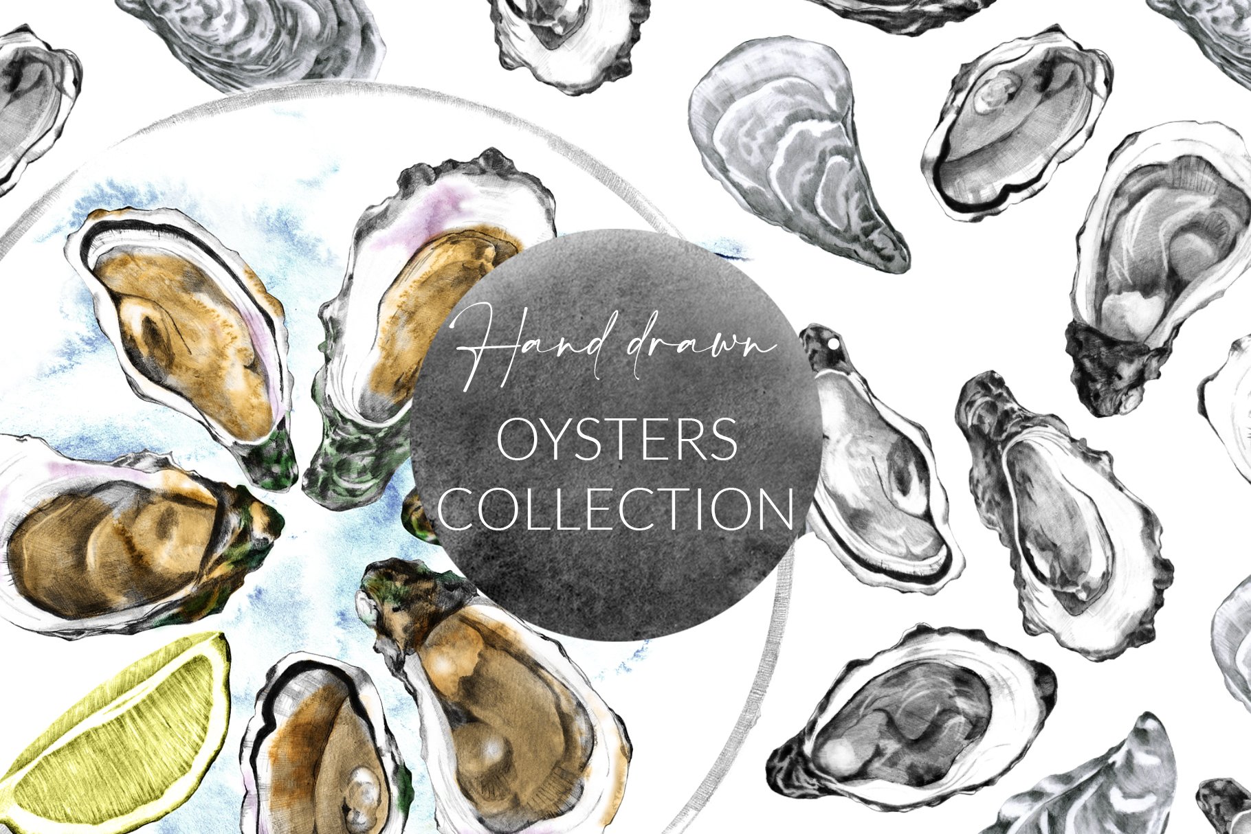 Hand Drawn Oysters Collection cover image.