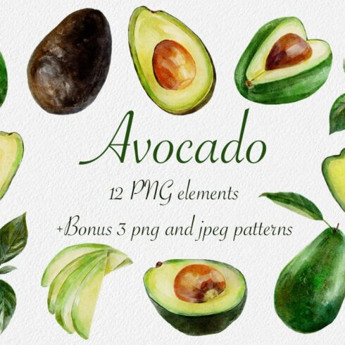 Watercolor avocado collection cover image.