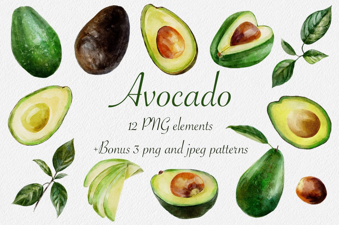 Watercolor avocado collection cover image.