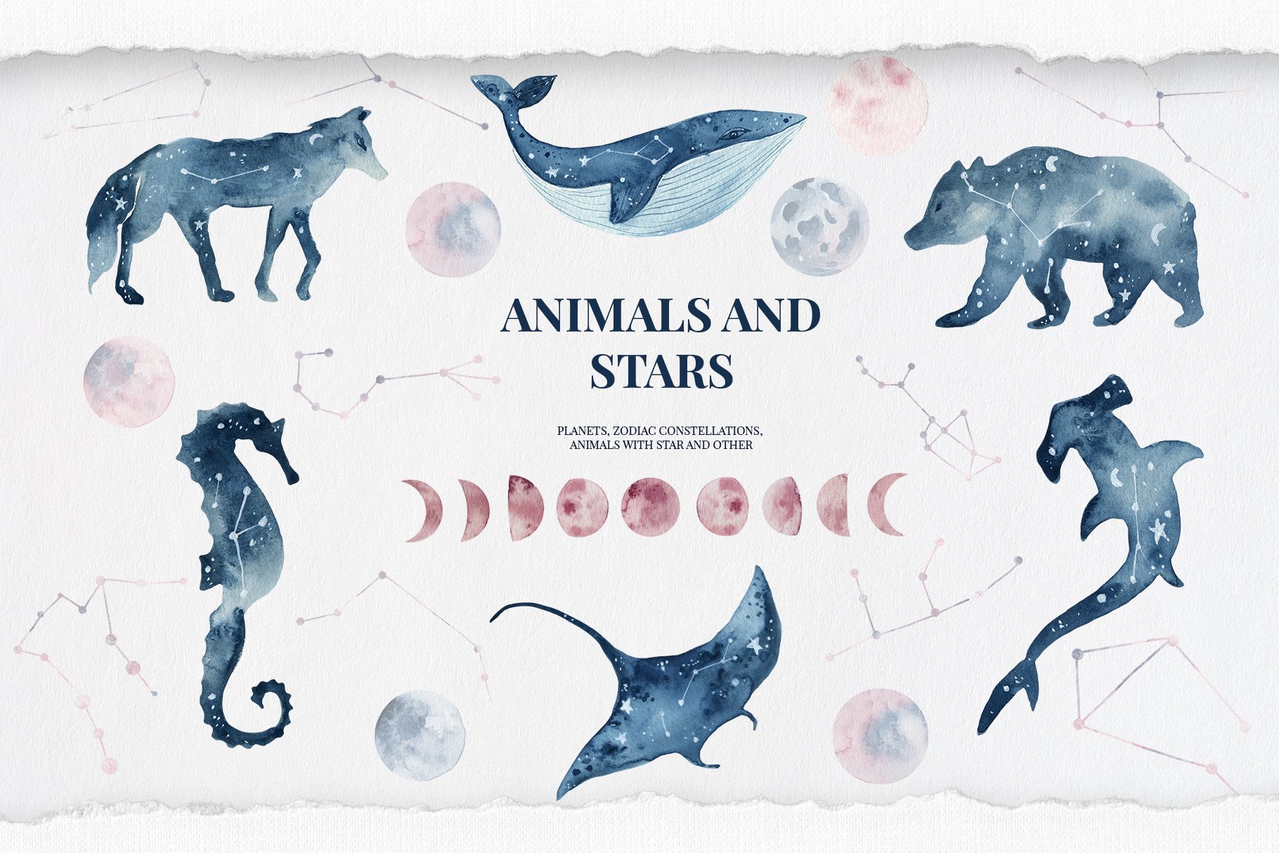 Animals and stars collection cover image.