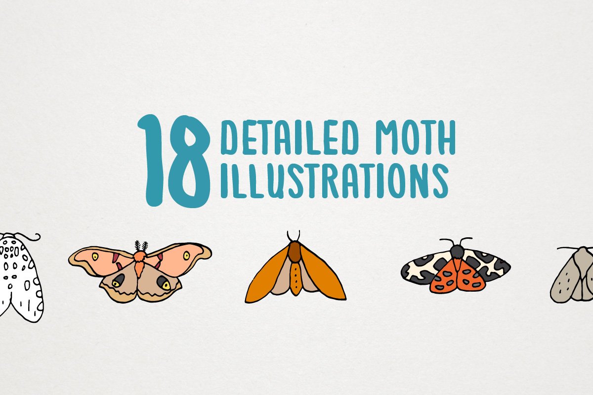 Moths of the World Illustration preview image.