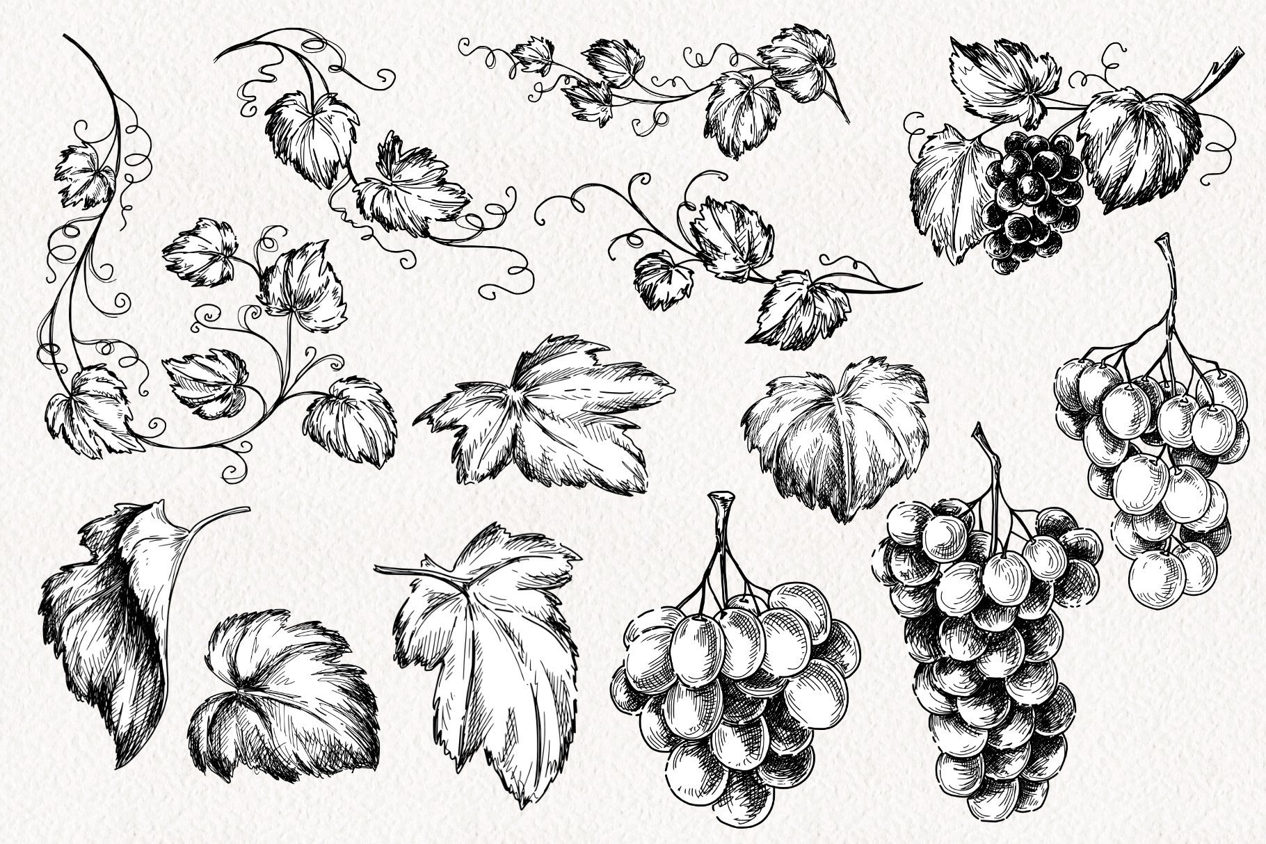 Vintage Wine preview image.