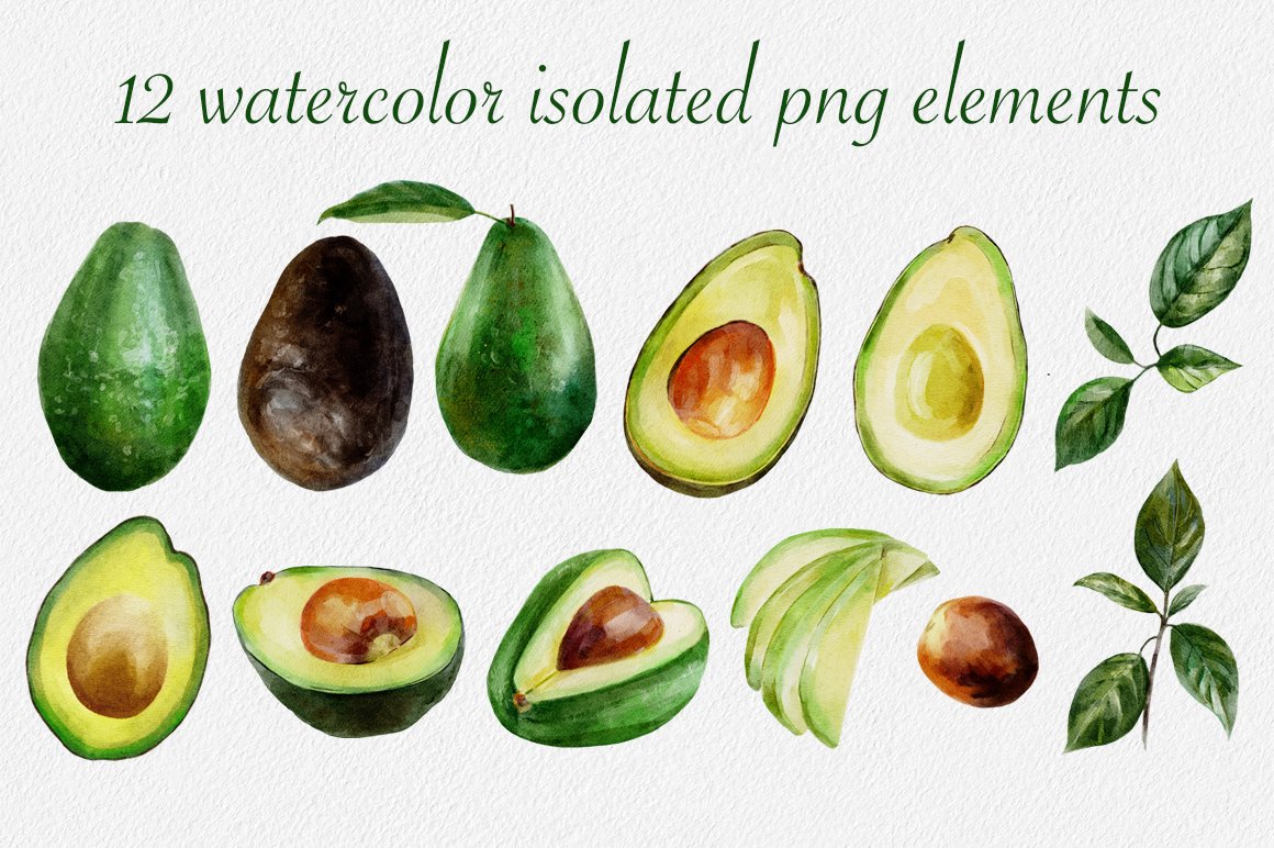 Watercolor avocado collection preview image.
