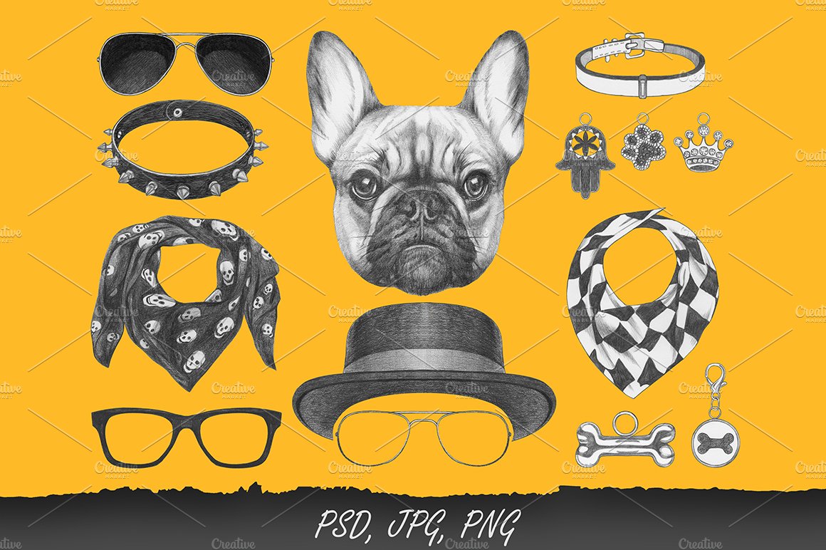 French Bulldog / Street Style preview image.