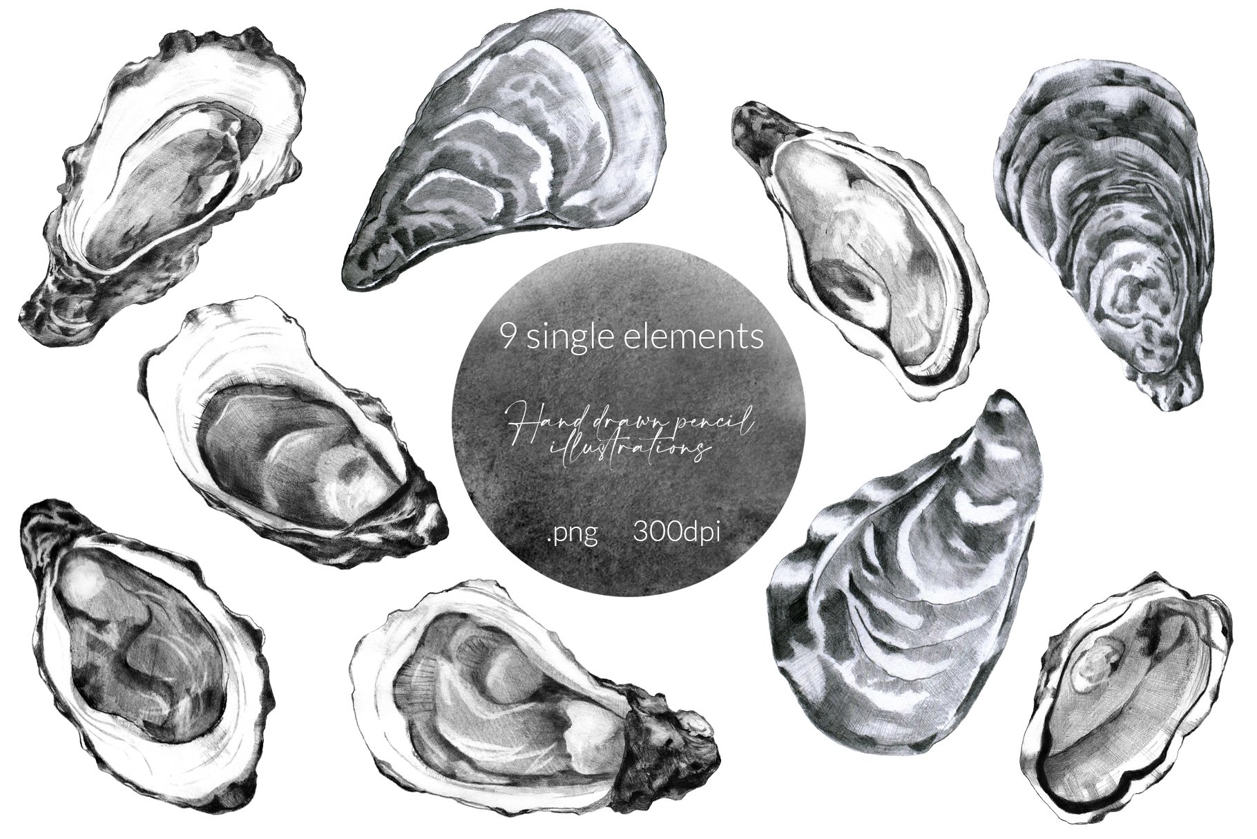 Hand Drawn Oysters Collection preview image.