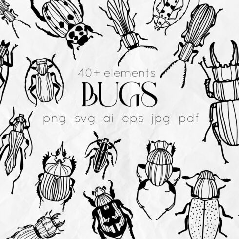 Bugs Line Art Vector SVG cover image.