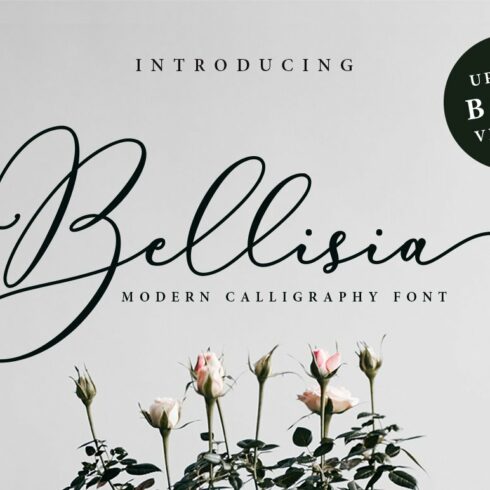 Bellisia Script + Bold Version cover image.