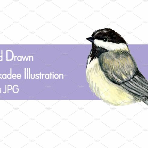Chickadee Drawing Clip Art cover image.