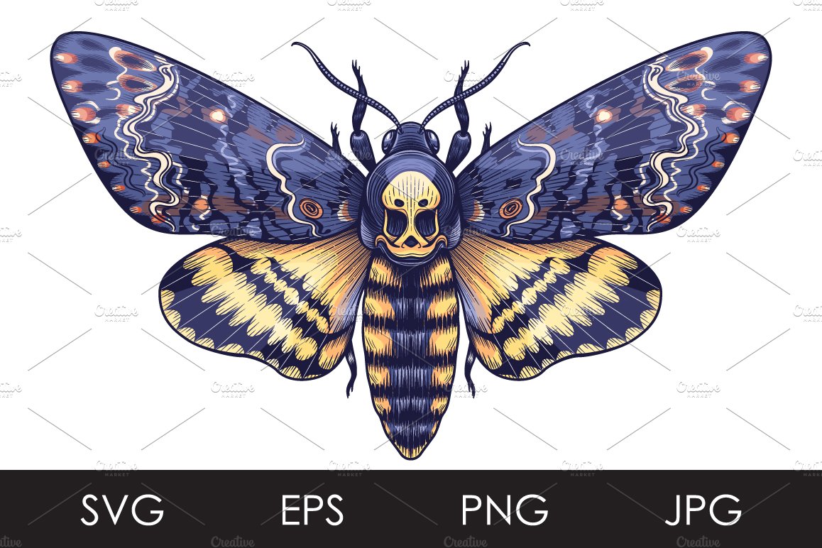 Death's-Head Hawk Moth cover image.