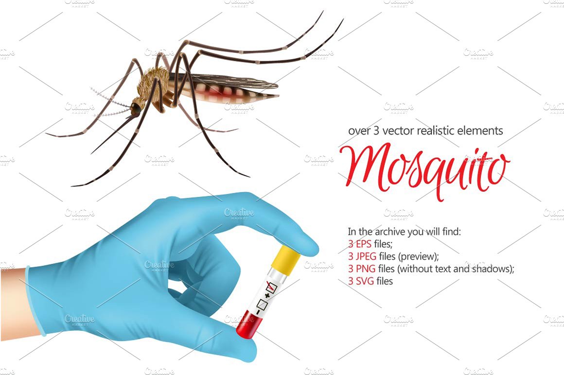 Mosquito Realistic Set cover image.