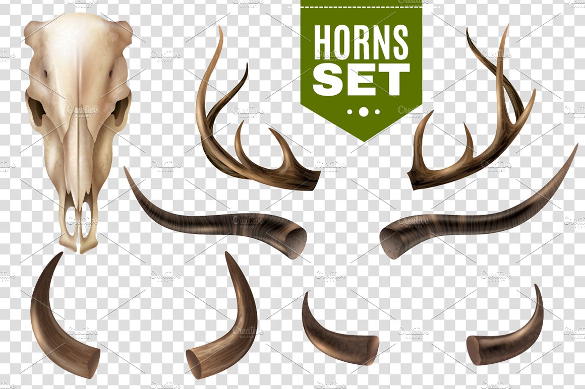 Realistic Cow Skull Set preview image.