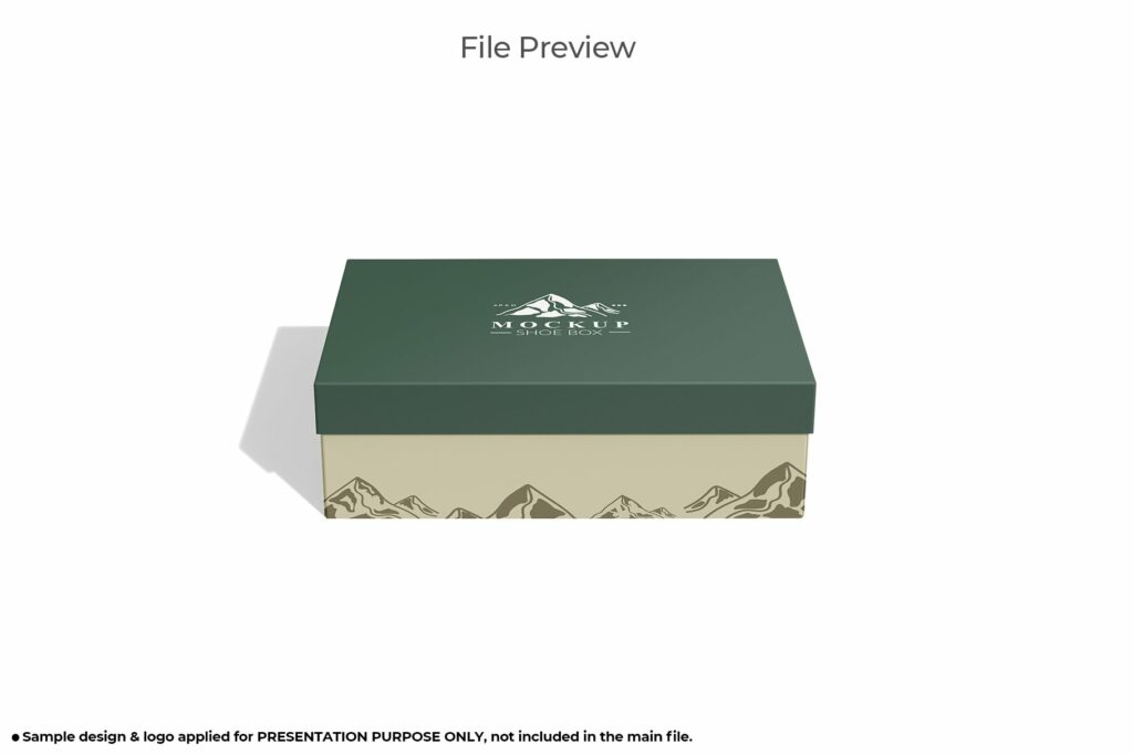 Rectangular Shoe Box Package Mockup – MasterBundles