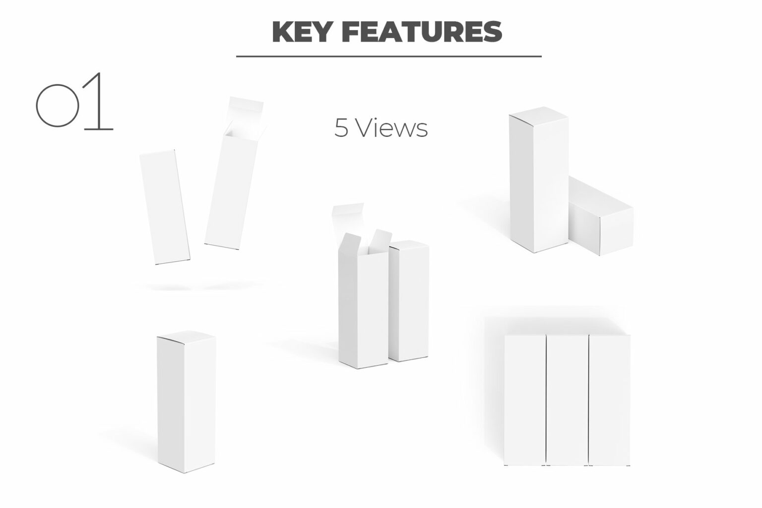 Package Layout Rectangle Package Box Mockup – Tall Rectangle – MasterBundles