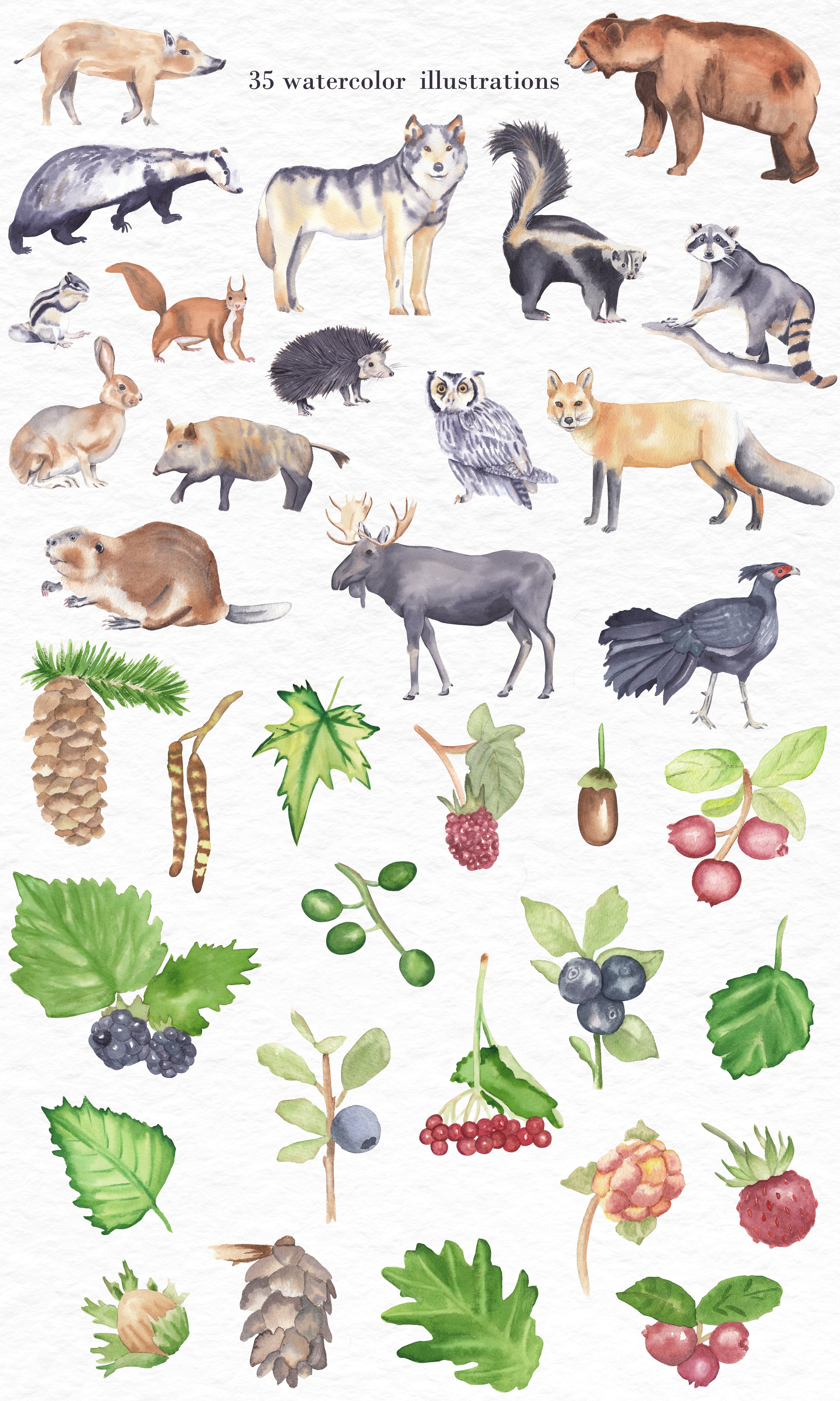 Woodland animals-watercolor clipart preview image.
