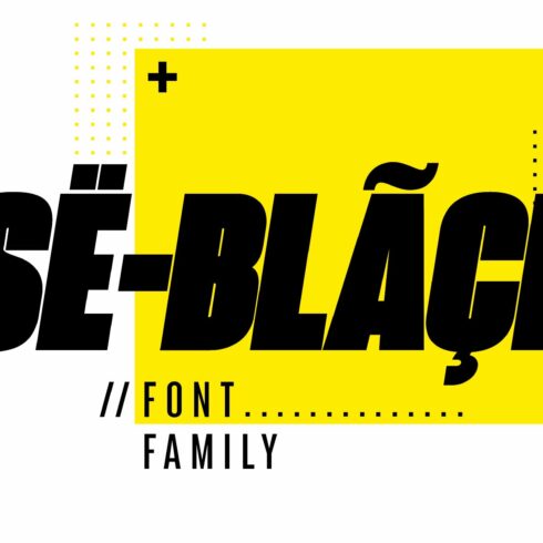 SeBlack Sans Serif Font family cover image.