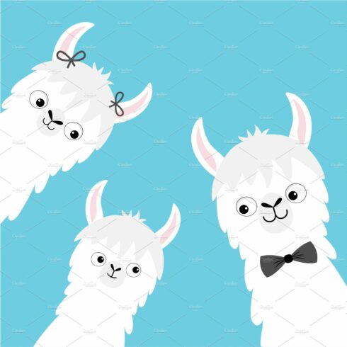 Llama alpaca family head face set. cover image.