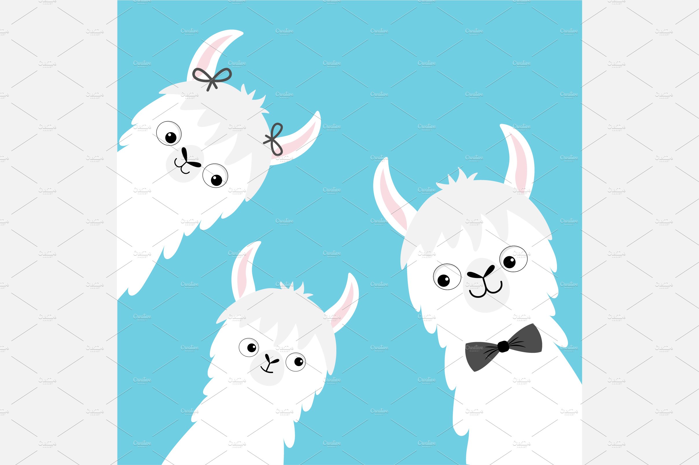 Llama alpaca family head face set. cover image.
