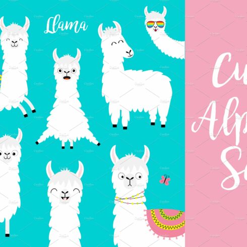 Llama alpaca set. Cute animals. cover image.