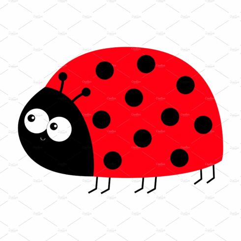 Lady bug ladybird insect icon print. cover image.