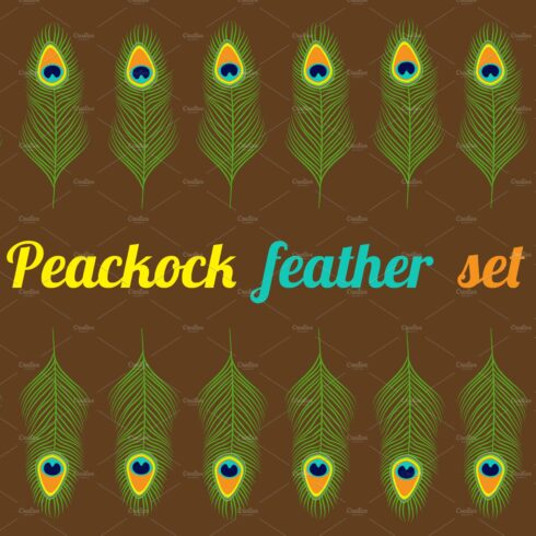 Peacock feather set collection. cover image.