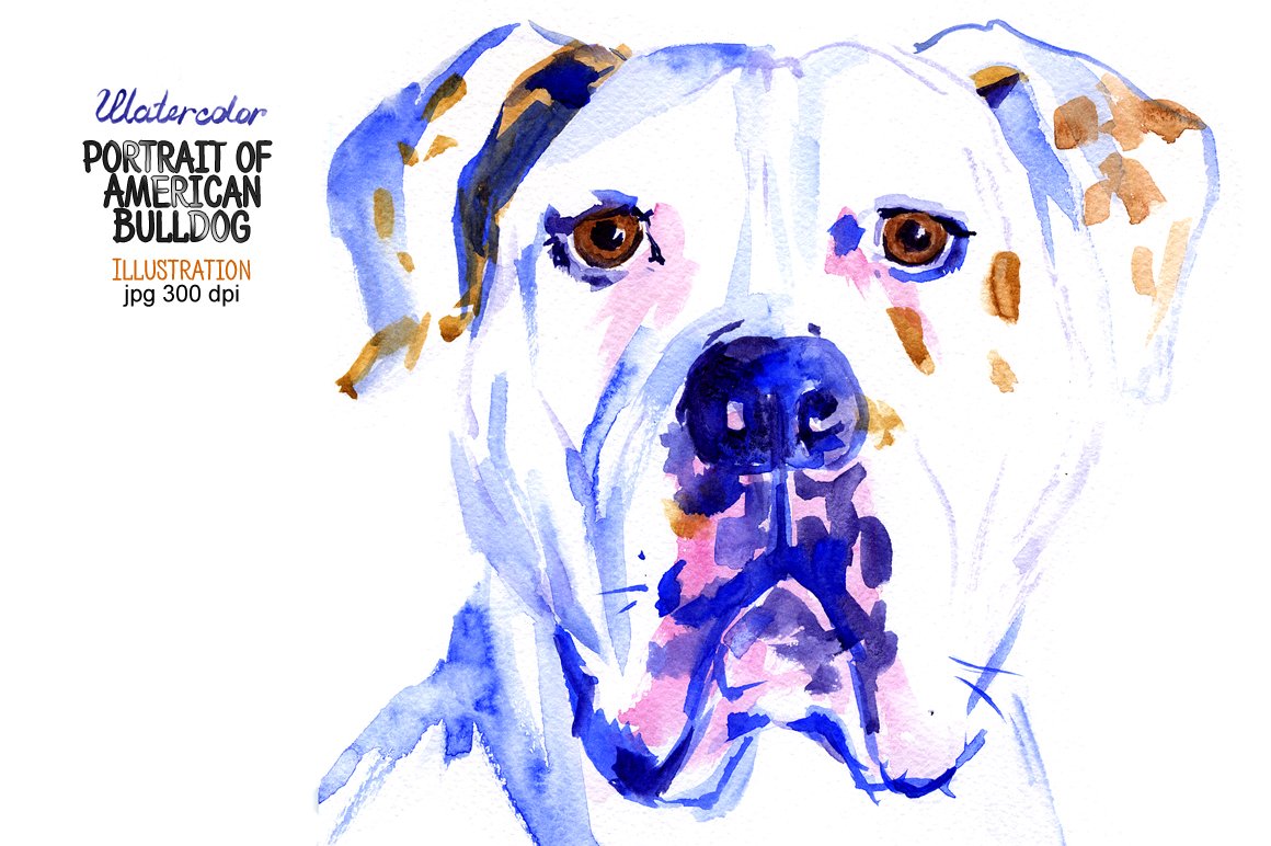 Watercolor American Bulldog cover image.