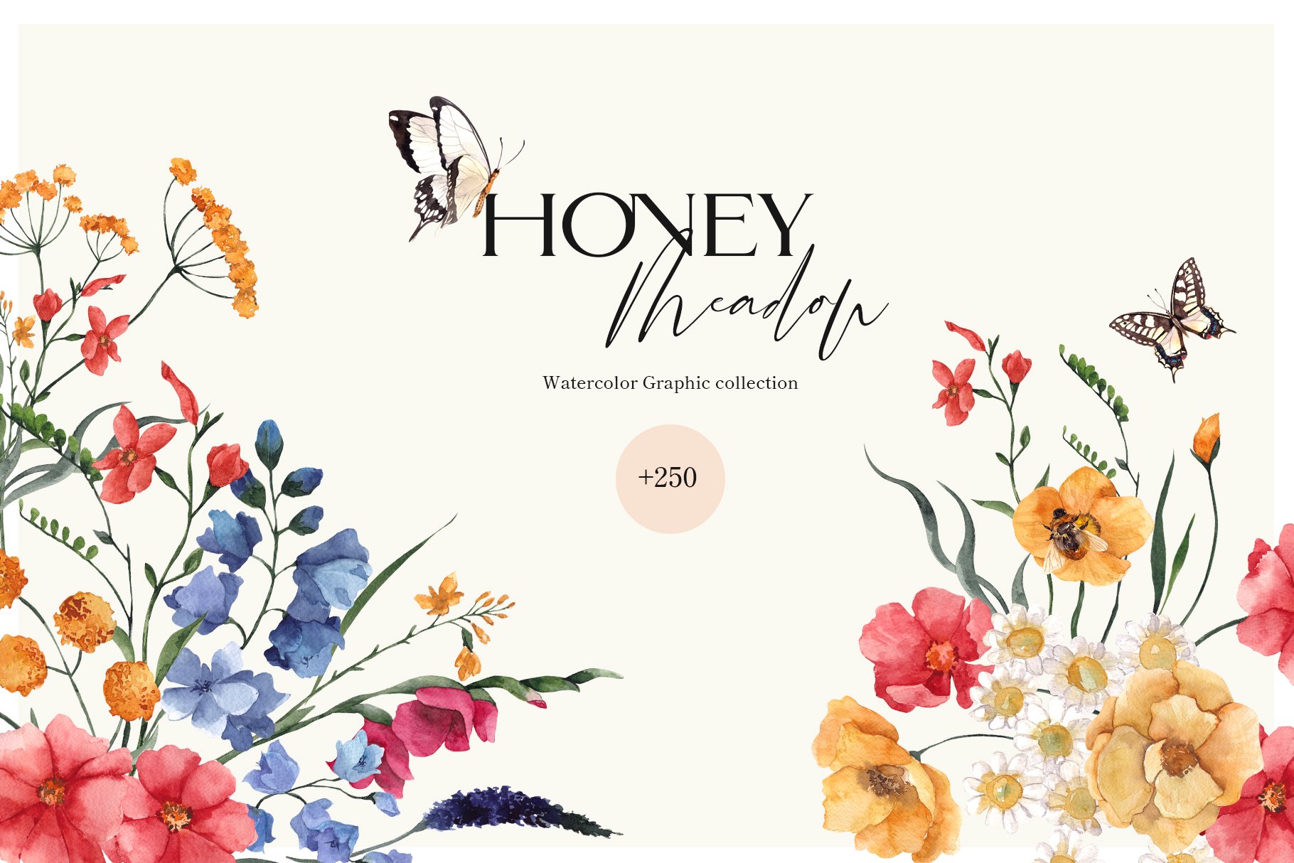 Honey Meadow. Wild Flower. cover image.