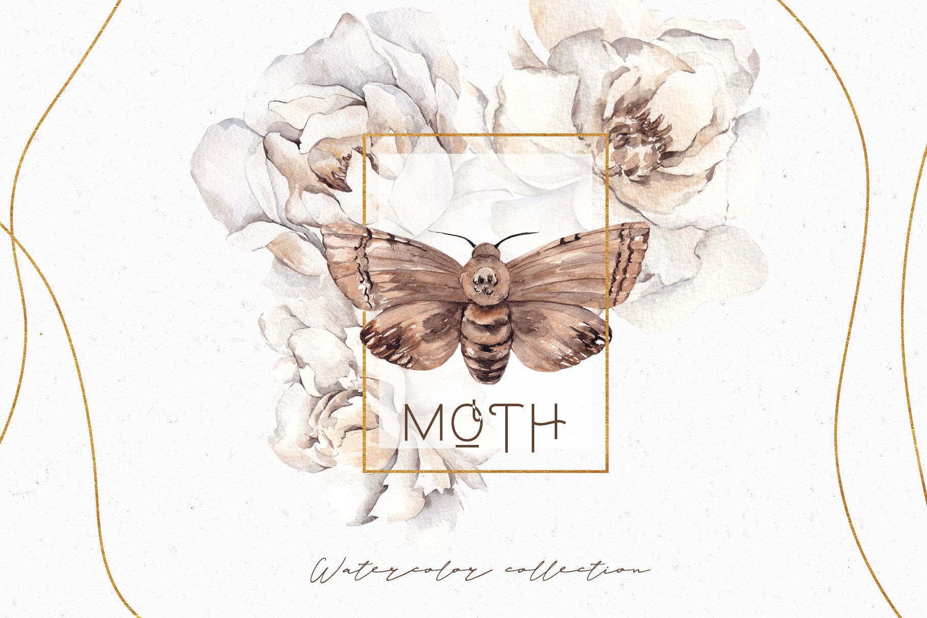 Moth. Watercolor and graphic. cover image.