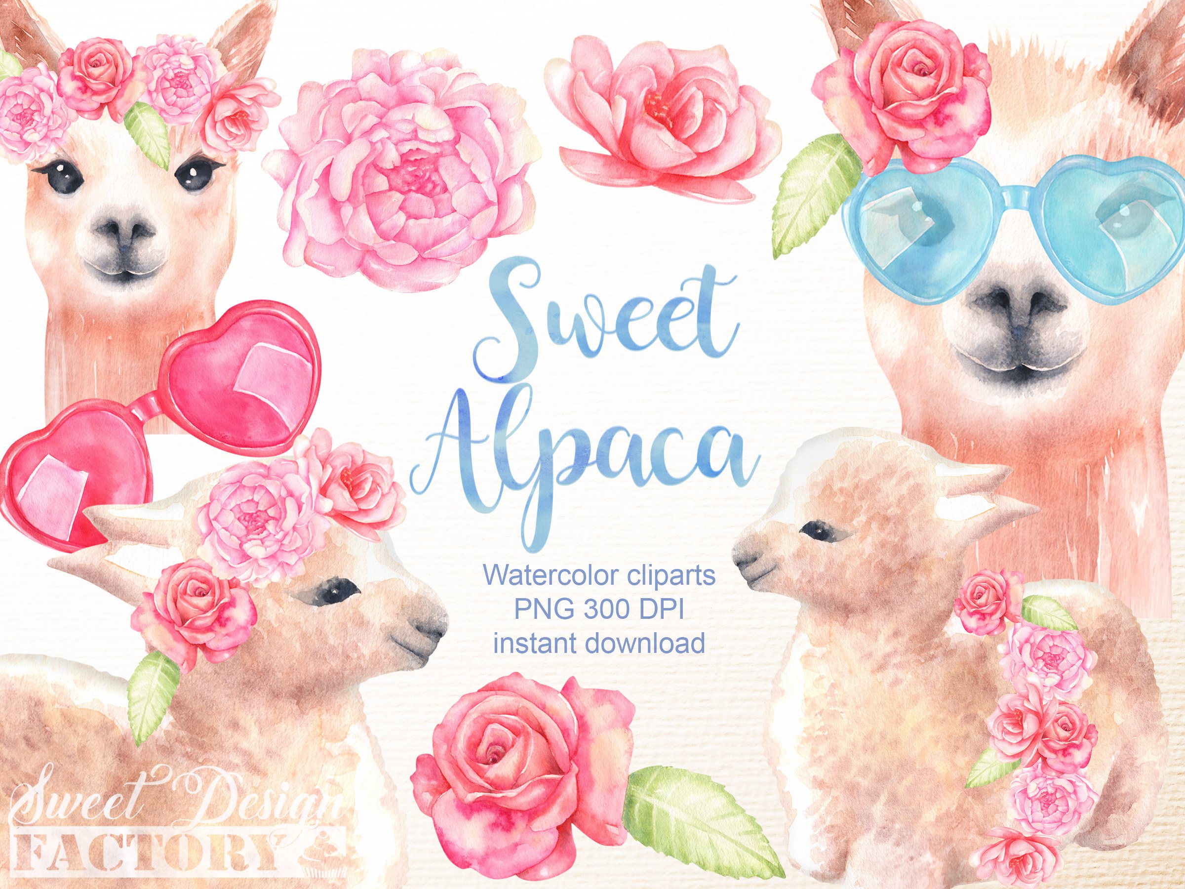 Watercolor alpaca clipart cover image.