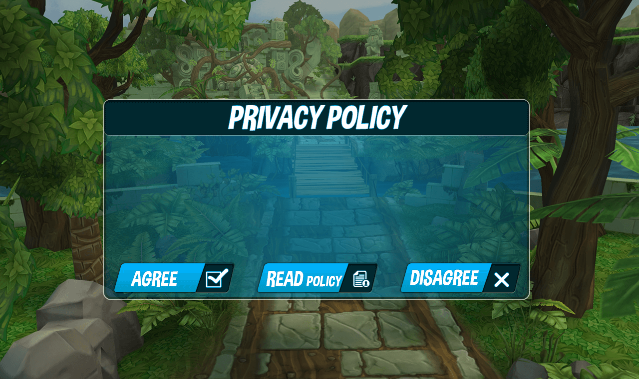 privacy policy 251
