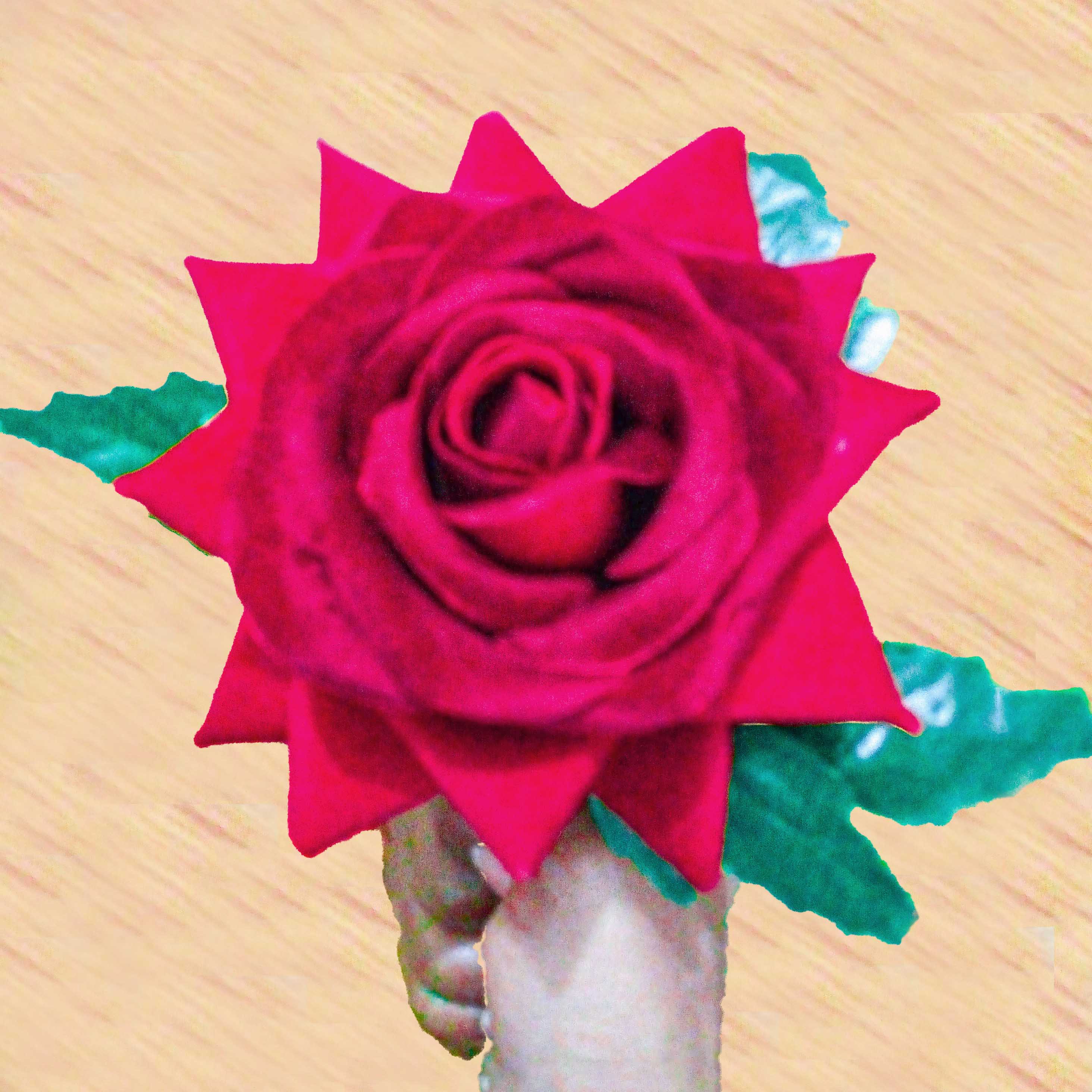 propose rose mahsin photography 724