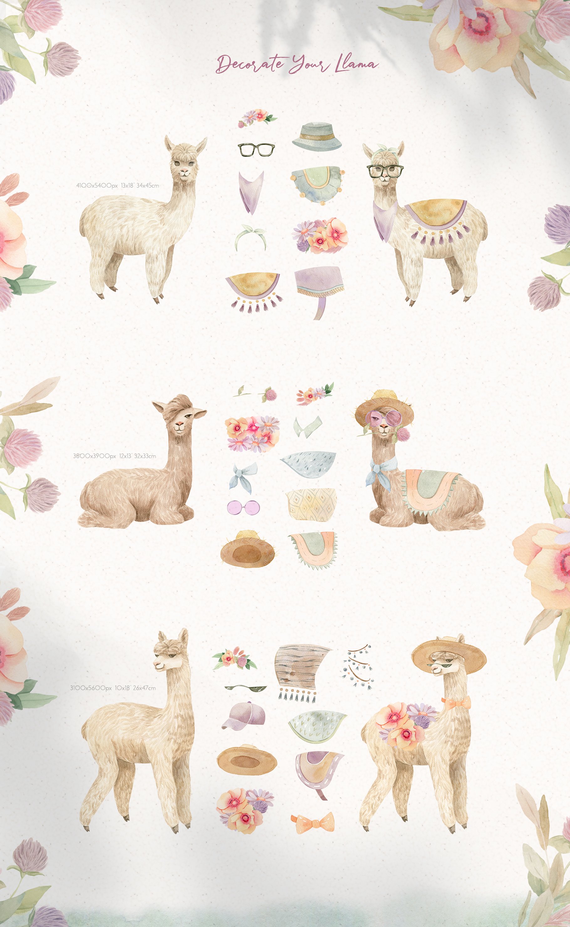 prw alpacas1 368