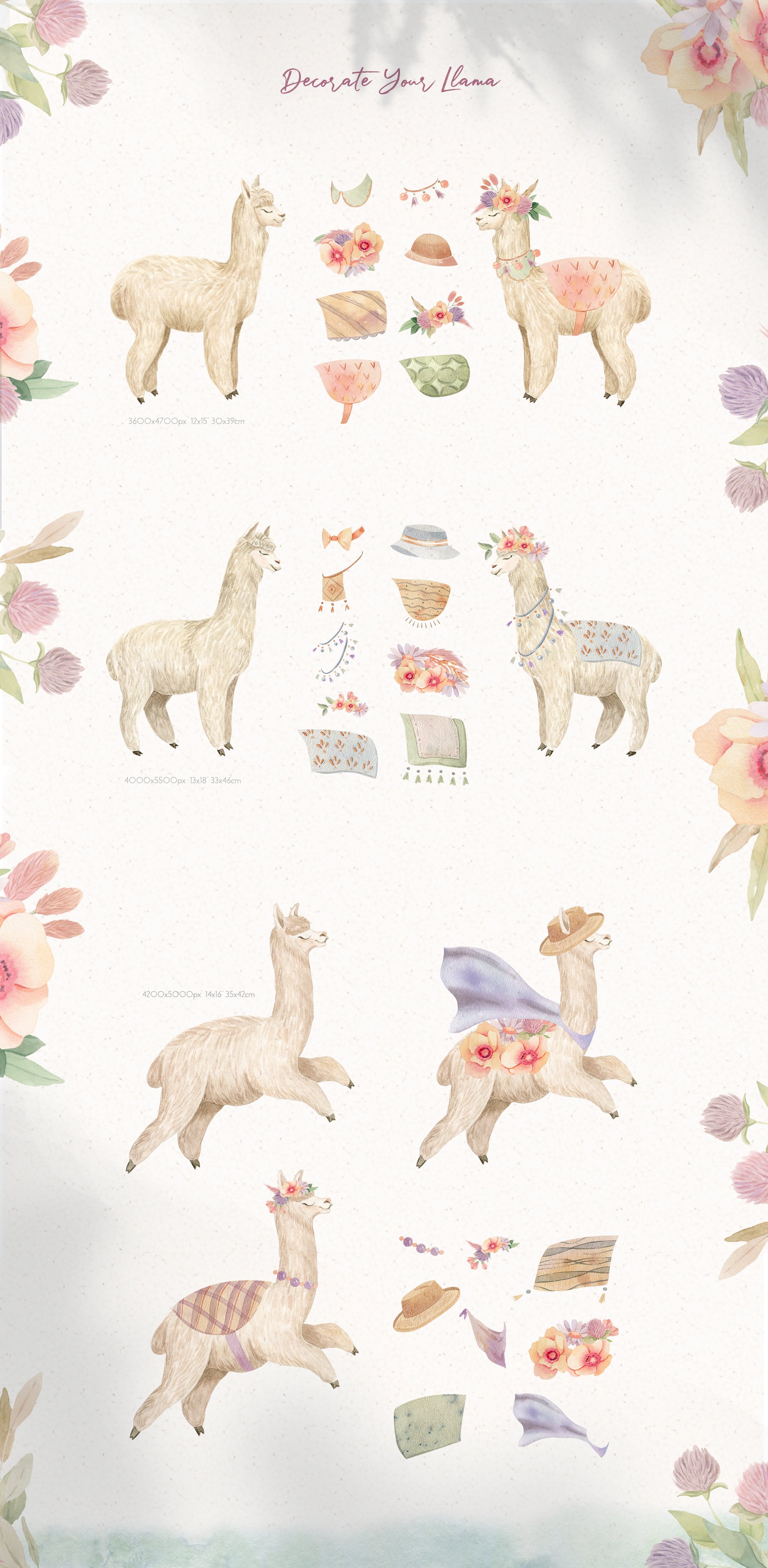 prw alpacas2 723