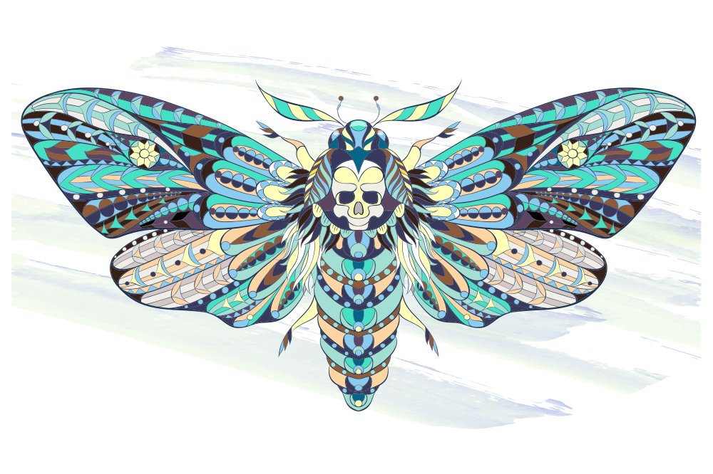 Ethnic Collection: Moth preview image.
