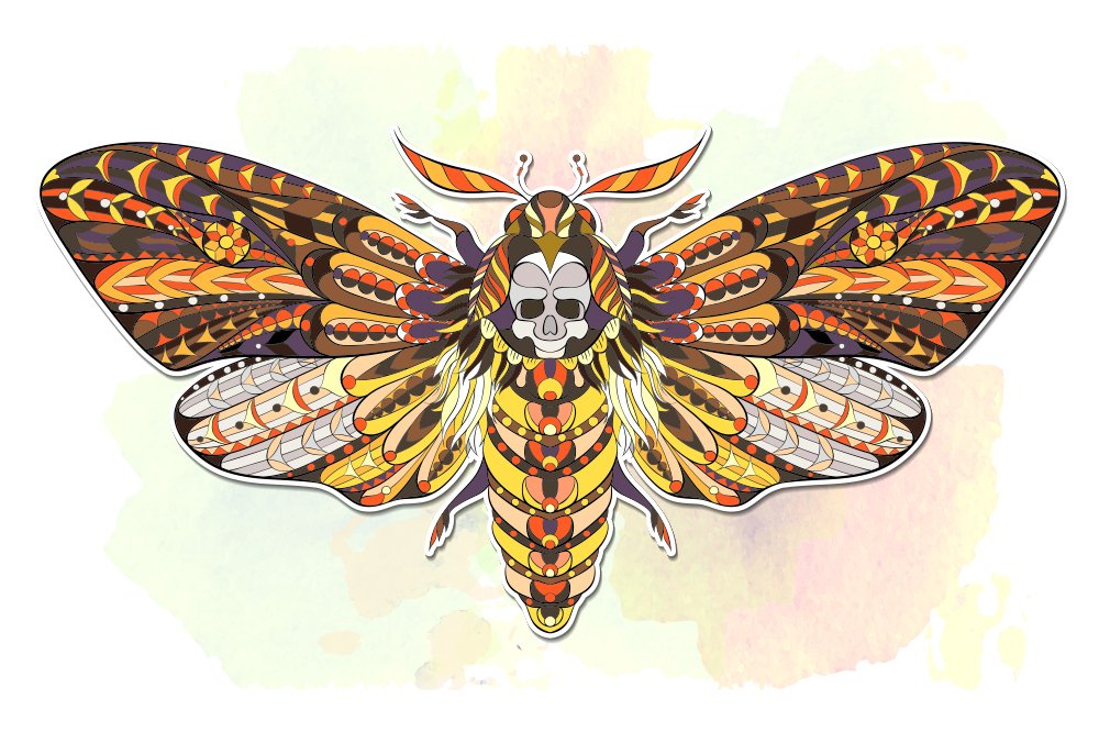prw moth 3 51