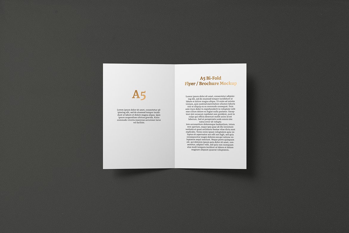 A5 Bi-Fold Brochure / Flyer Mockup preview image.