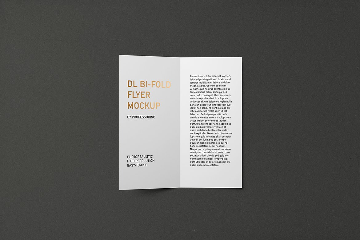 DL Bi-Fold Flyer / Brochure Mockup preview image.