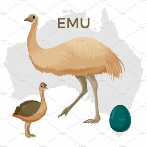 Emu bird, small and large isolated on white, small chick cover image.