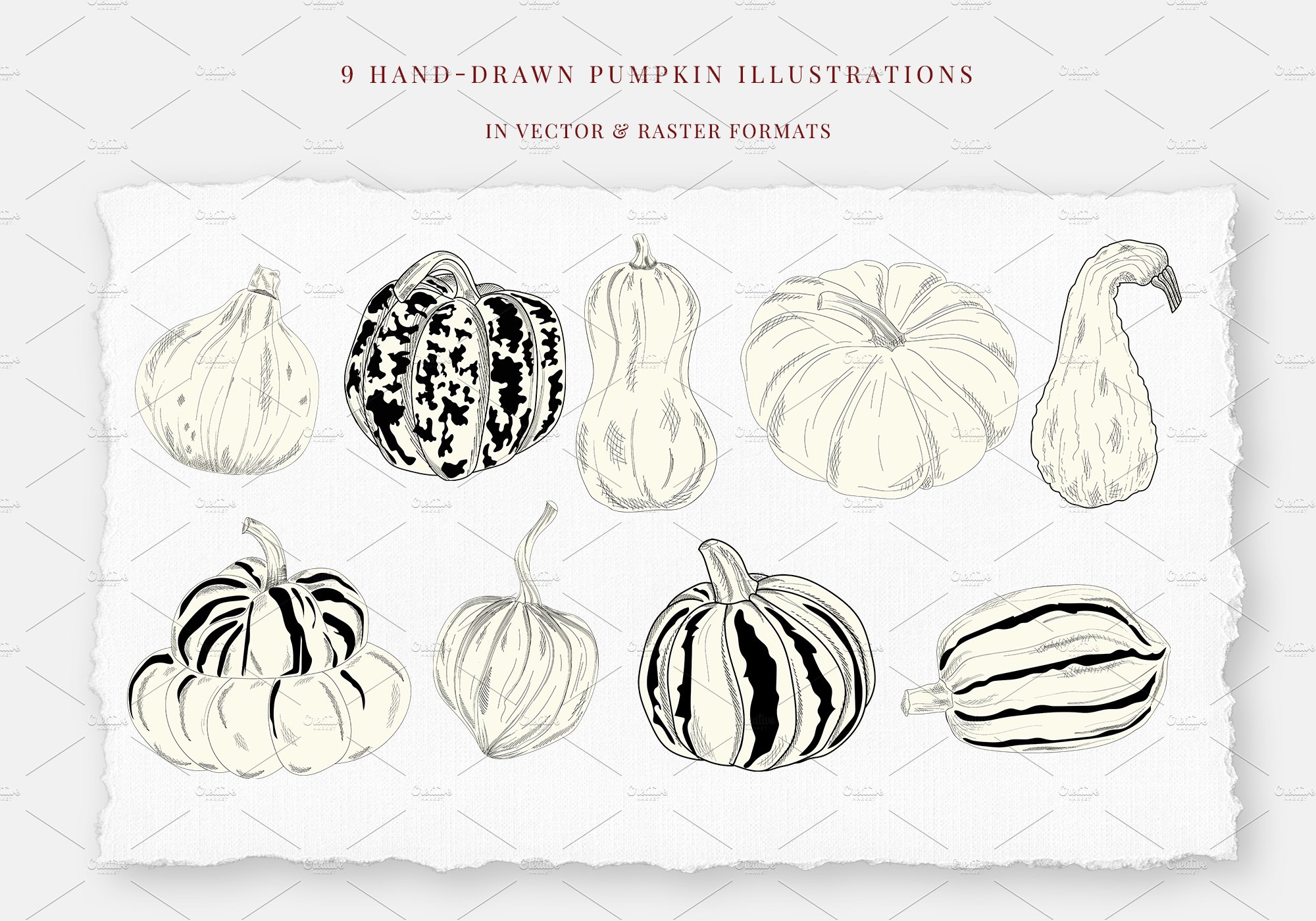 Pumpkins, hand drawn illustrations preview image.