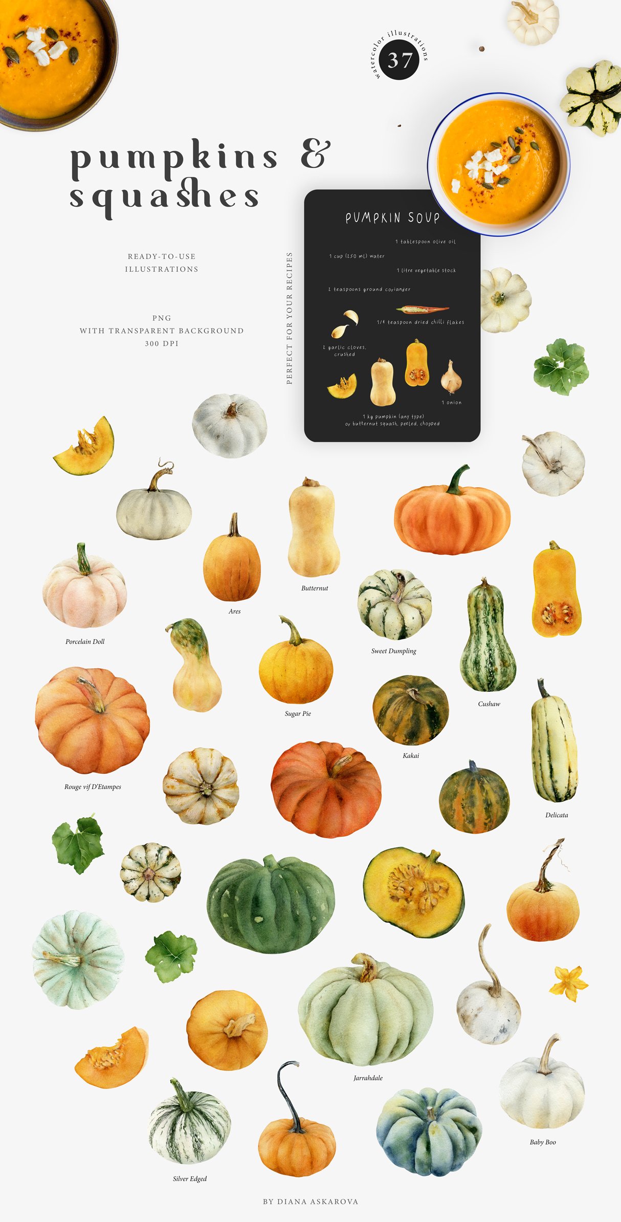 Pumpkin watercolor set. Fall clipart preview image.