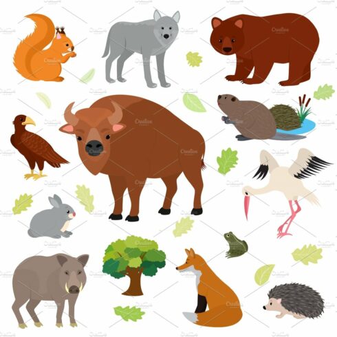 Animal vector animalistic character cover image.