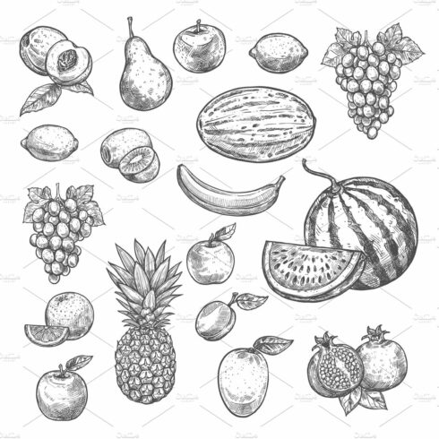 Vector sketch fruits isolated icons cover image.
