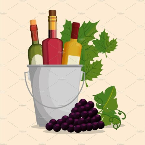 set red wine bottles and grapes cover image.