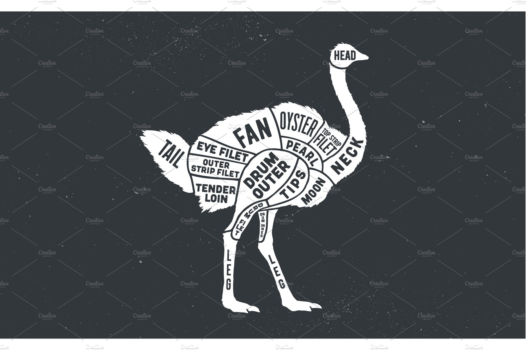 Ostrich. Butcher guide scheme cover image.