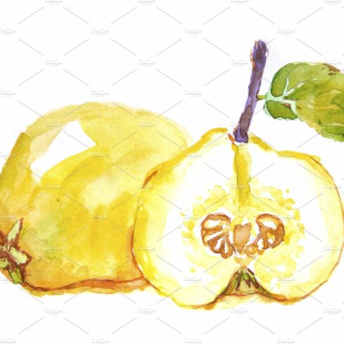 Watercolor quince cover image.