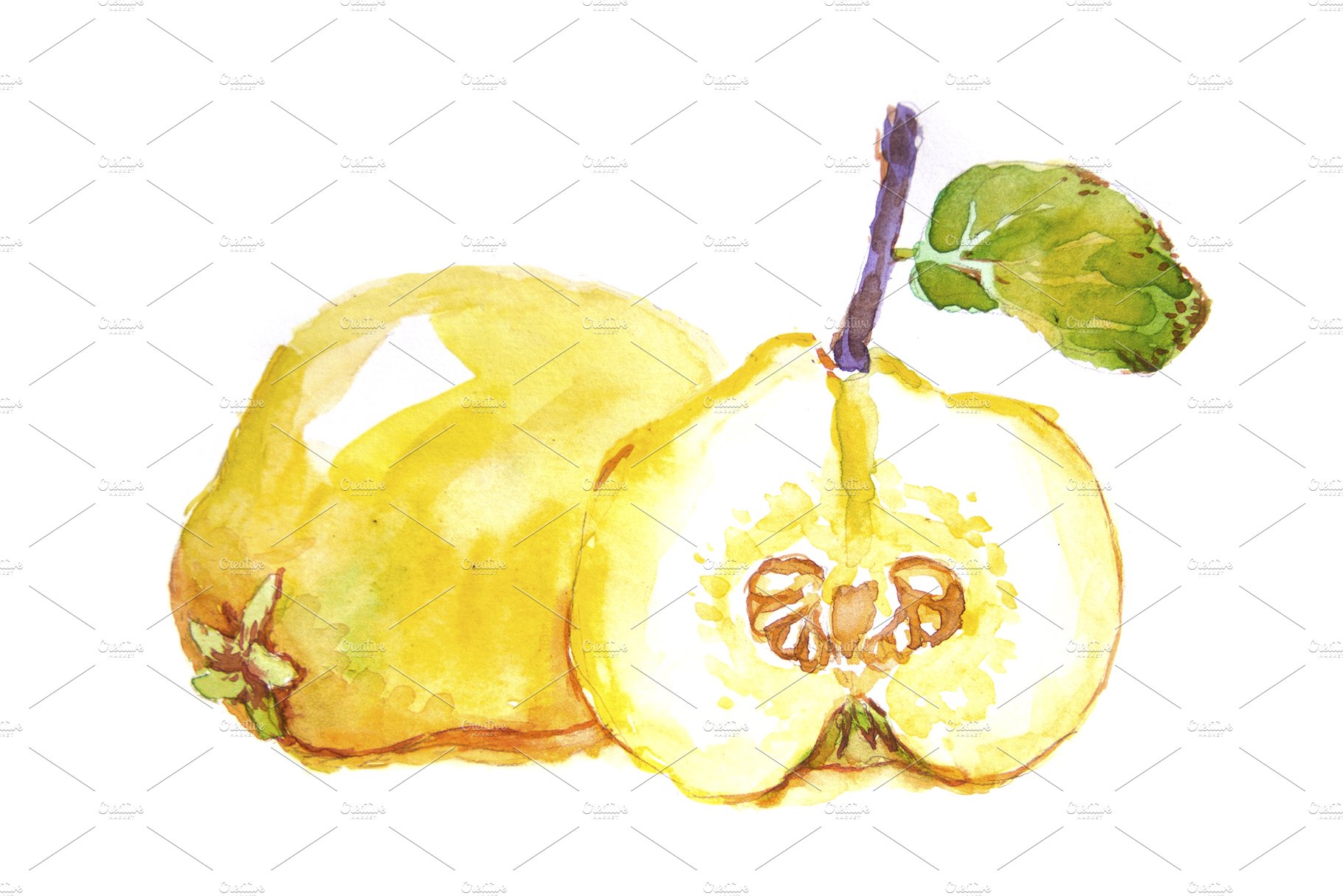 Watercolor quince cover image.