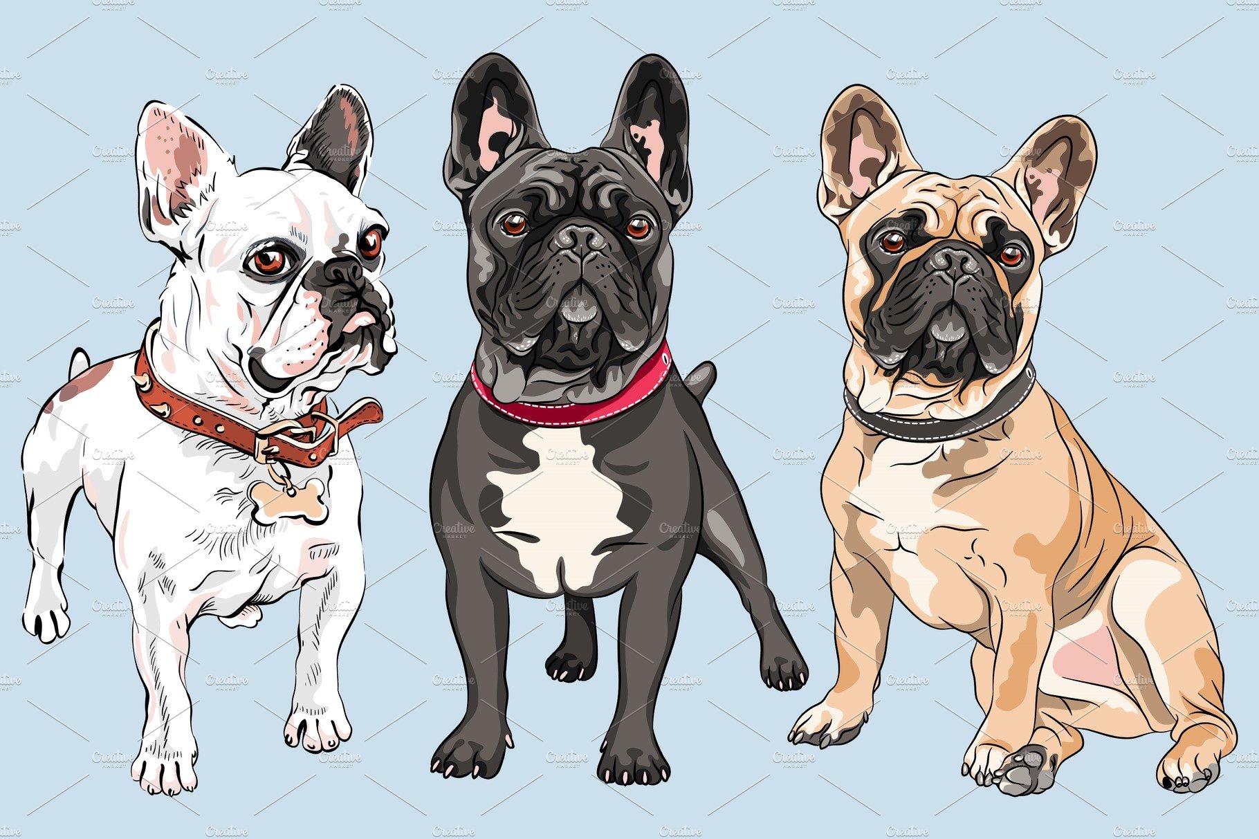 vector set French Bulldog dogs cover image.