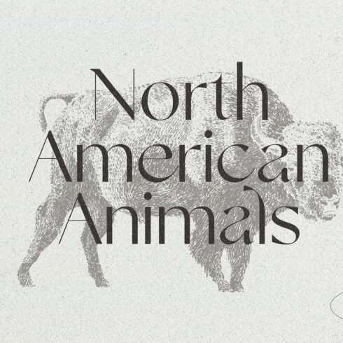 Sketches of animals of North America cover image.